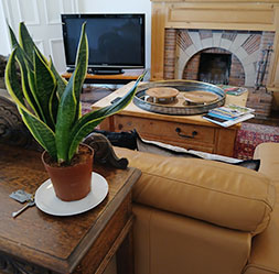 North Wing Self Catering Accommodation
